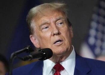 US election: ‘Super genius’ – Trump thanks Elon Musk for his support