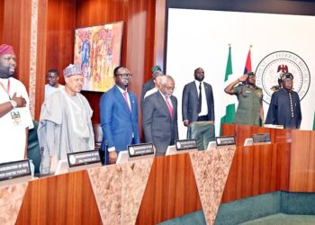 NIGERIAN PROFESSIONALS WILL RETURN AS ECONOMY IMPROVES, PRESIDENT TINUBU ASSURES AT INAUGURATION OF NATIONAL YOUTH CONFAB PLANNING COMMITTEE