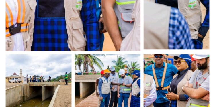 RISK MANAGEMENT—AN ESSENTIAL ASPECT OF PROJECT IMPLEMENTATION