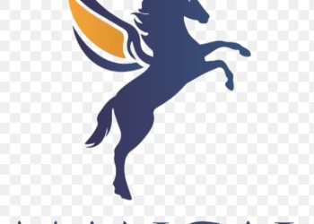 Mangal Cement Industry Clarifies Position on Unauthorized Use of Company Vehicle and Announces Termination of Driver