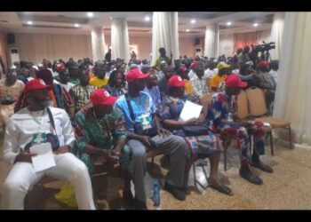 Nwanyanwu secures ZLP ticket, sets agenda on unity, security